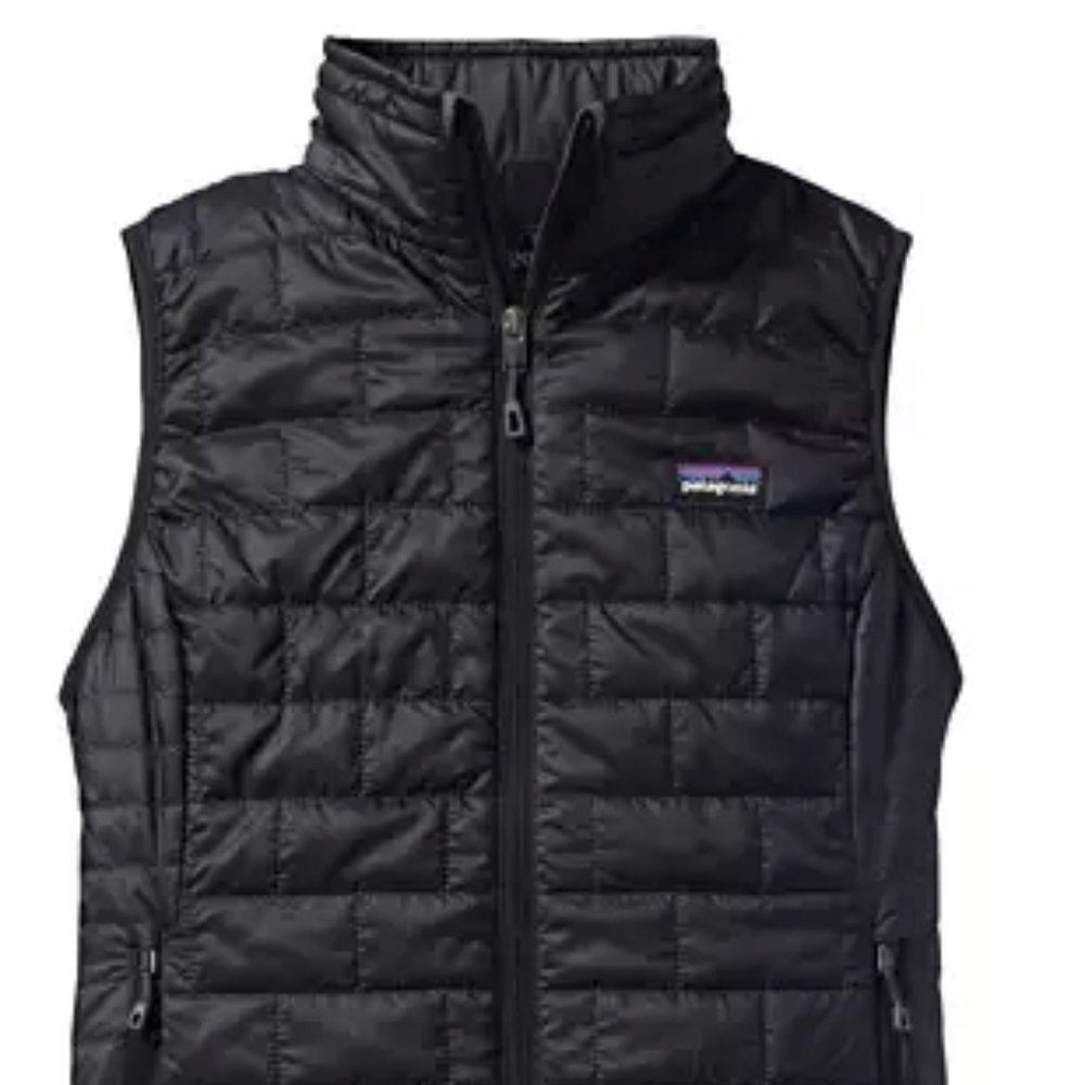 Patagonia Down Vest
